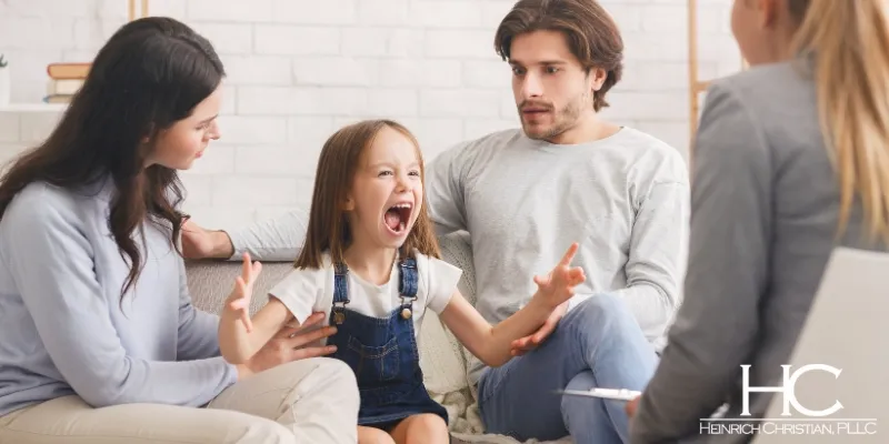 Georgetown Child Custody Lawyer-image